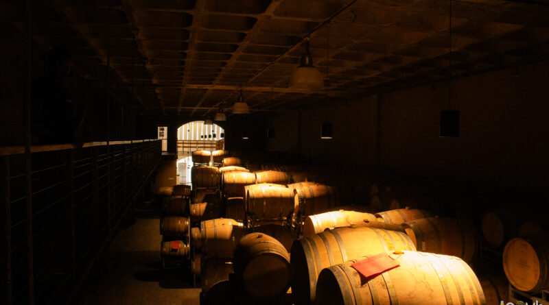 Capetown: Constantia